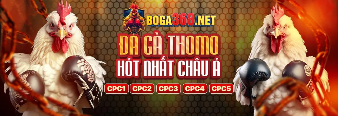 Hình ảnh hỗ trợ khách hàng của sx666 trang chủ chính thức