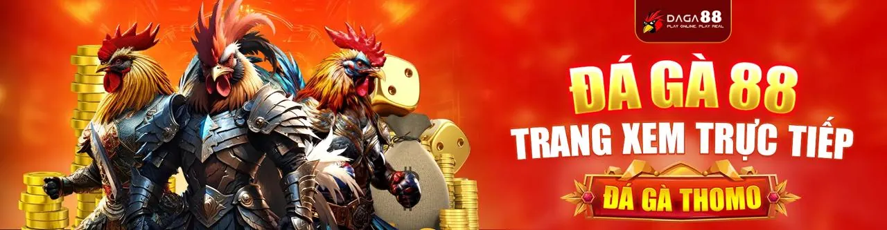 Sân đấu đá gà trực tuyến sôi động tại SX666 trang chủ chính thức